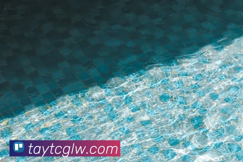 世界杯官方入口品牌故事