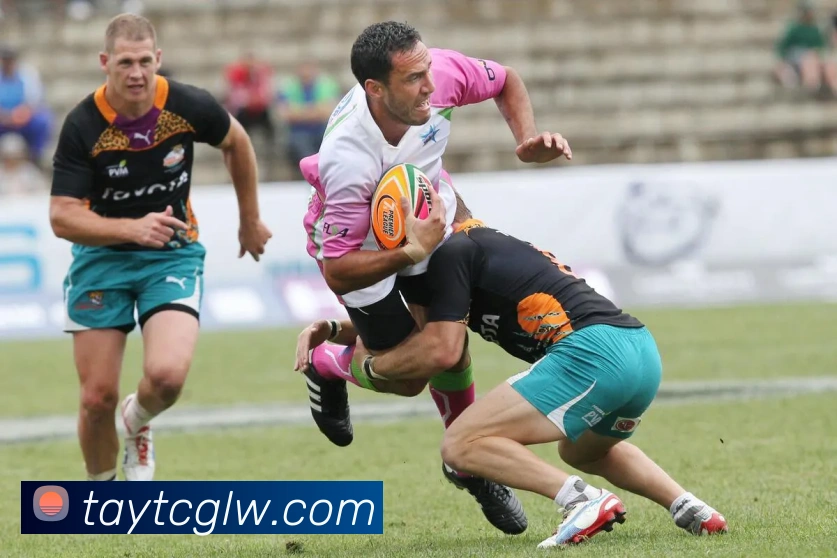 世界杯官方入口服务体系